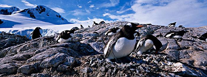 《荒野大镖客：救赎》PC版可能在开发中 但不会很快到来