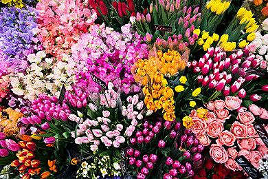 太帅了！印度魂游《释放阿凡达》12分钟实机